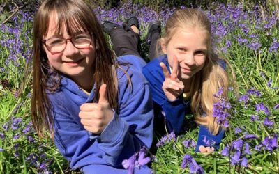 Bluebell Art - Summer 1 2026