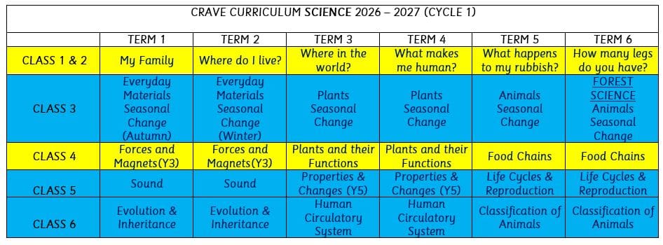 CYCLE 1